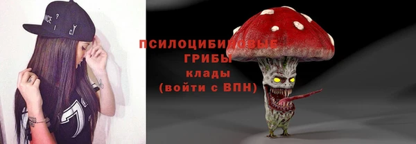 мет Арсеньев