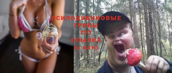 мет Арсеньев
