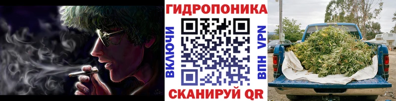 Бошки марихуана план  где можно купить наркотик  Певек 